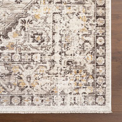 nuLOOM Devika Vintage Traditional Medallion Area Rug