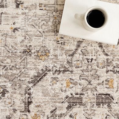 nuLOOM Devika Vintage Traditional Medallion Area Rug