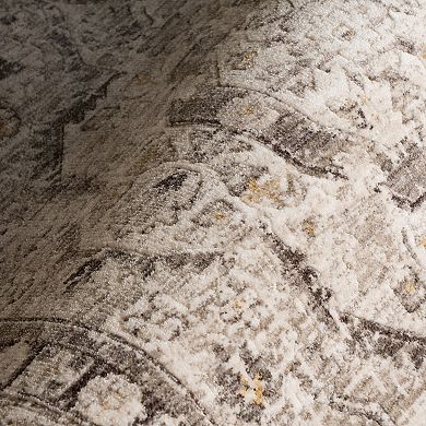 nuLOOM Devika Vintage Traditional Medallion Area Rug