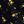 Black Lemon