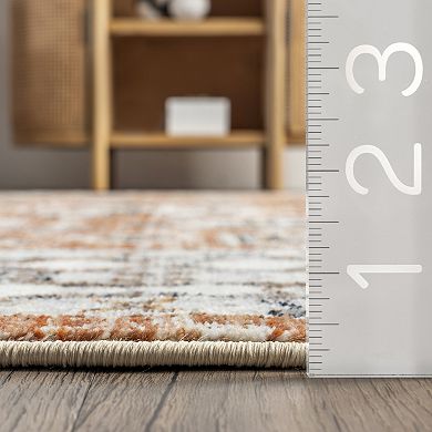 nuLOOM Vanesa Transitional Medallion Fringe Area Rug