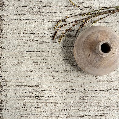 nuLOOM Sonali Casual Bordered Fringe Area Rug