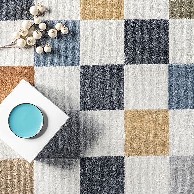 nuLOOM Naya Checkered Area Rug