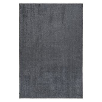 nuLOOM Argelia Solid Area Rug