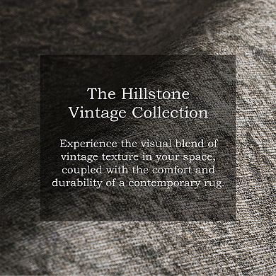 nuLOOM Hillstone Collection Traditional Vintage Medallion Area Rug