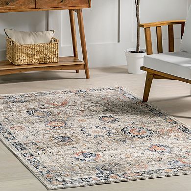 nuLOOM Acelynn Distressed Traditional Area Rug