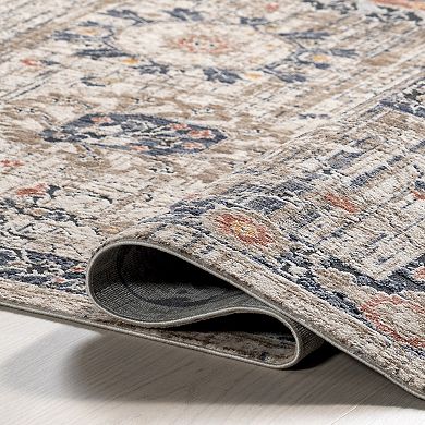 nuLOOM Acelynn Distressed Traditional Area Rug