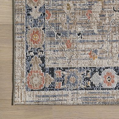 nuLOOM Acelynn Distressed Traditional Area Rug