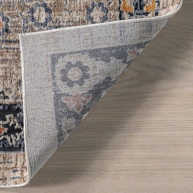 nuLOOM Acelynn Distressed Traditional Area Rug