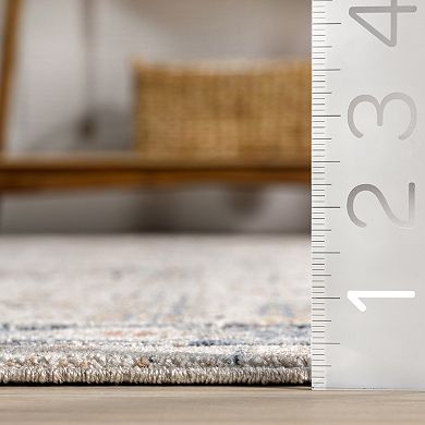 nuLOOM Acelynn Distressed Traditional Area Rug