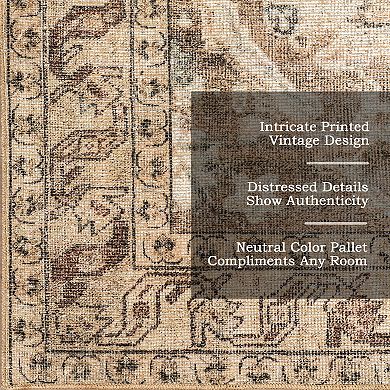 nuLOOM Hillstone Collection Traditional Vintage Medallion Area Rug