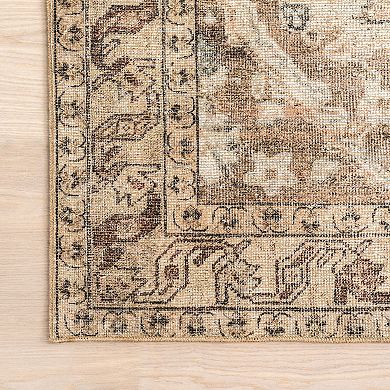 nuLOOM Hillstone Collection Traditional Vintage Medallion Area Rug