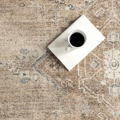 nuLOOM Hillstone Collection Traditional Vintage Medallion Area Rug