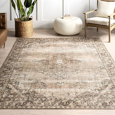 nuLOOM Hillstone Collection Traditional Vintage Medallion Area Rug