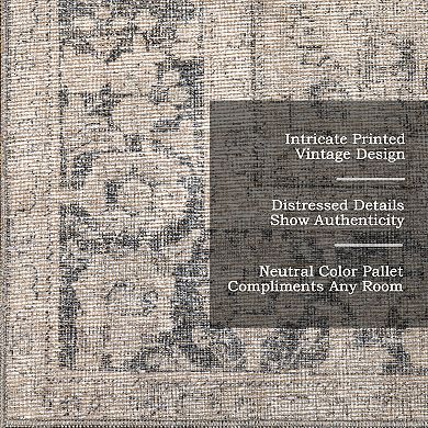 nuLOOM Hillstone Collection Traditional Vintage Medallion Area Rug