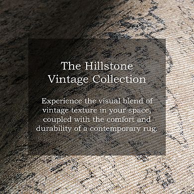 nuLOOM Hillstone Collection Traditional Vintage Medallion Area Rug