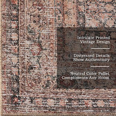 nuLOOM Hillstone Collection Traditional Vintage Medallion Area Rug