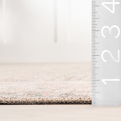 nuLOOM Hillstone Collection Traditional Vintage Medallion Area Rug