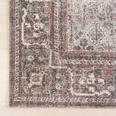 nuLOOM Hillstone Collection Traditional Vintage Medallion Area Rug