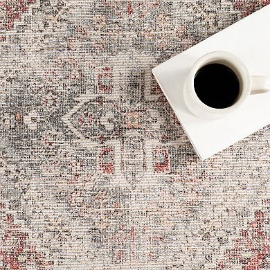 nuLOOM Hillstone Collection Traditional Vintage Medallion Area Rug