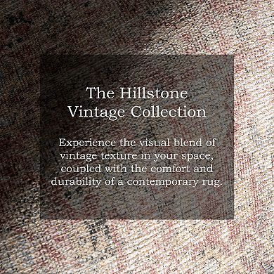 nuLOOM Hillstone Collection Traditional Vintage Medallion Area Rug
