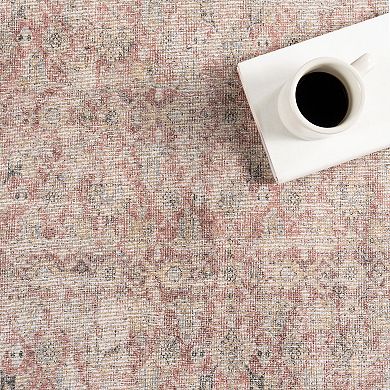 nuLOOM Hillstone Collection Traditional Vintage Medallion Area Rug