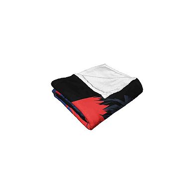 Dc Comics Batman Batman And Robin Team Up Silk Touch Throw Blanket