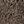 Khaki Brown