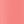 Sweet Coral