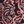 Rich Burgundy Paisley