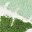 Green Grey