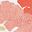 Orange Pink