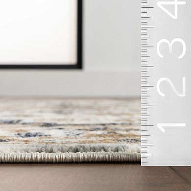 nuLOOM Lakelynn Persian Medallion Area Rug