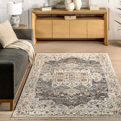 nuLOOM Ariel Persian Medallion Area Rug