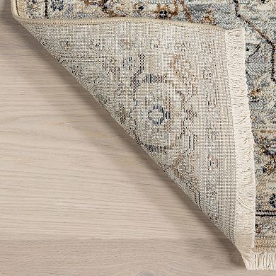 nuLOOM Ariel Persian Medallion Area Rug