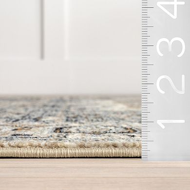 nuLOOM Ariel Persian Medallion Area Rug
