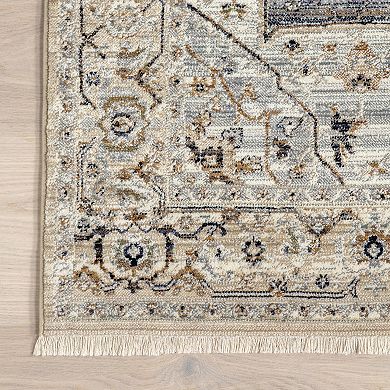 nuLOOM Ariel Persian Medallion Area Rug