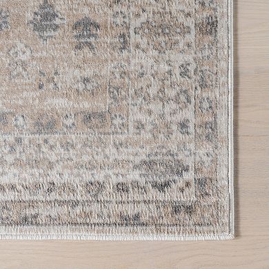nuLOOM Nesa Traditional Medallion Area Rug