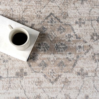 nuLOOM Nesa Traditional Medallion Area Rug