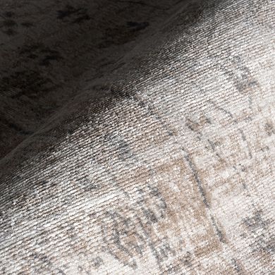 nuLOOM Nesa Traditional Medallion Area Rug
