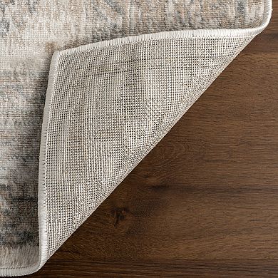 nuLOOM Nissa Traditional Medallion Area Rug