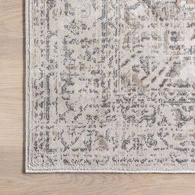 nuLOOM Lilibet Traditional Medallion Area Rug