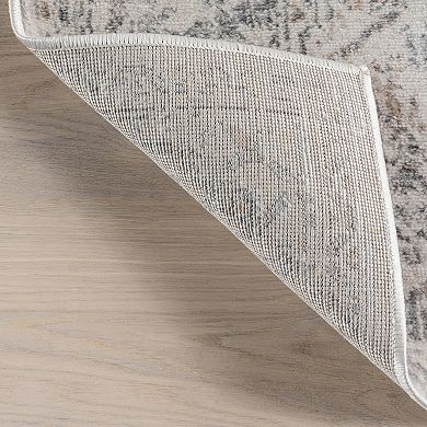 nuLOOM Lilibet Traditional Medallion Area Rug