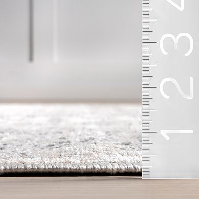 nuLOOM Lillith Traditional Medallion Area Rug