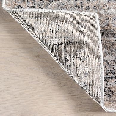 nuLOOM Lillith Traditional Medallion Area Rug