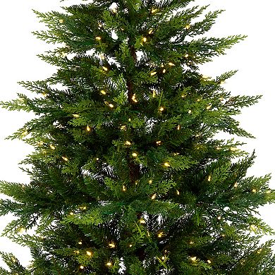 National Tree Company 6.5 ft. Festive Artificial Fern Christmas Tree with Clear Lights