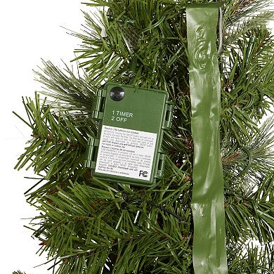 National Tree Company 3 ft. Feel Real Colonial Artificial Mantel Swag with Poinsettias, Berries & Battery Operated LED Lights