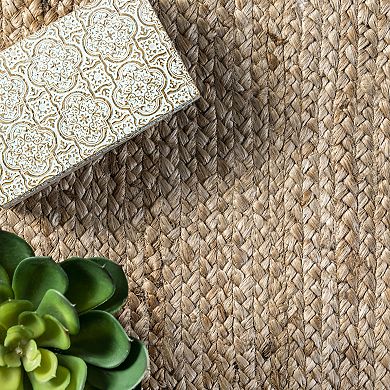 nuLOOM Tera Petals Country Braided Jute Area Rug