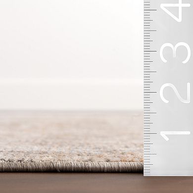 nuLOOM Kriti Medallion Fringe Area Rug