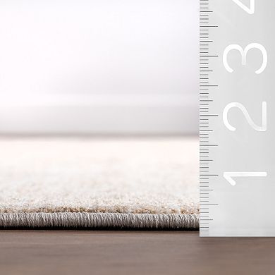 nuLOOM Sevilla Medallion Fringe Area Rug